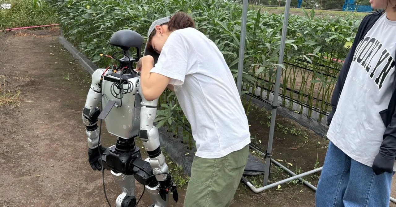 A humanoid robot harvesting okra in a field